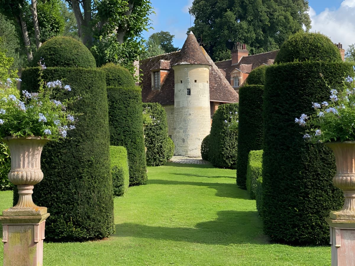 cone de vue