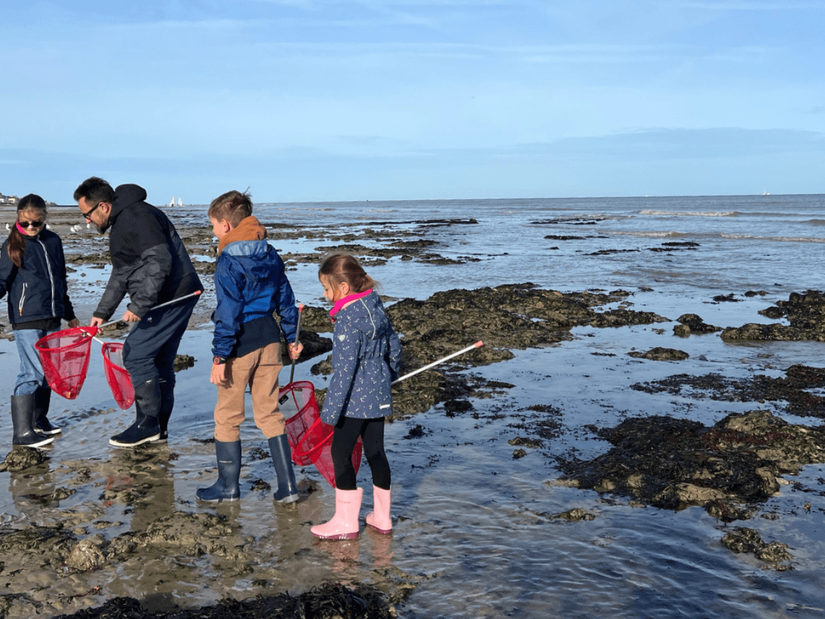 balade-decouverte-littorale-peche-a-pied-luc-sur-mer5