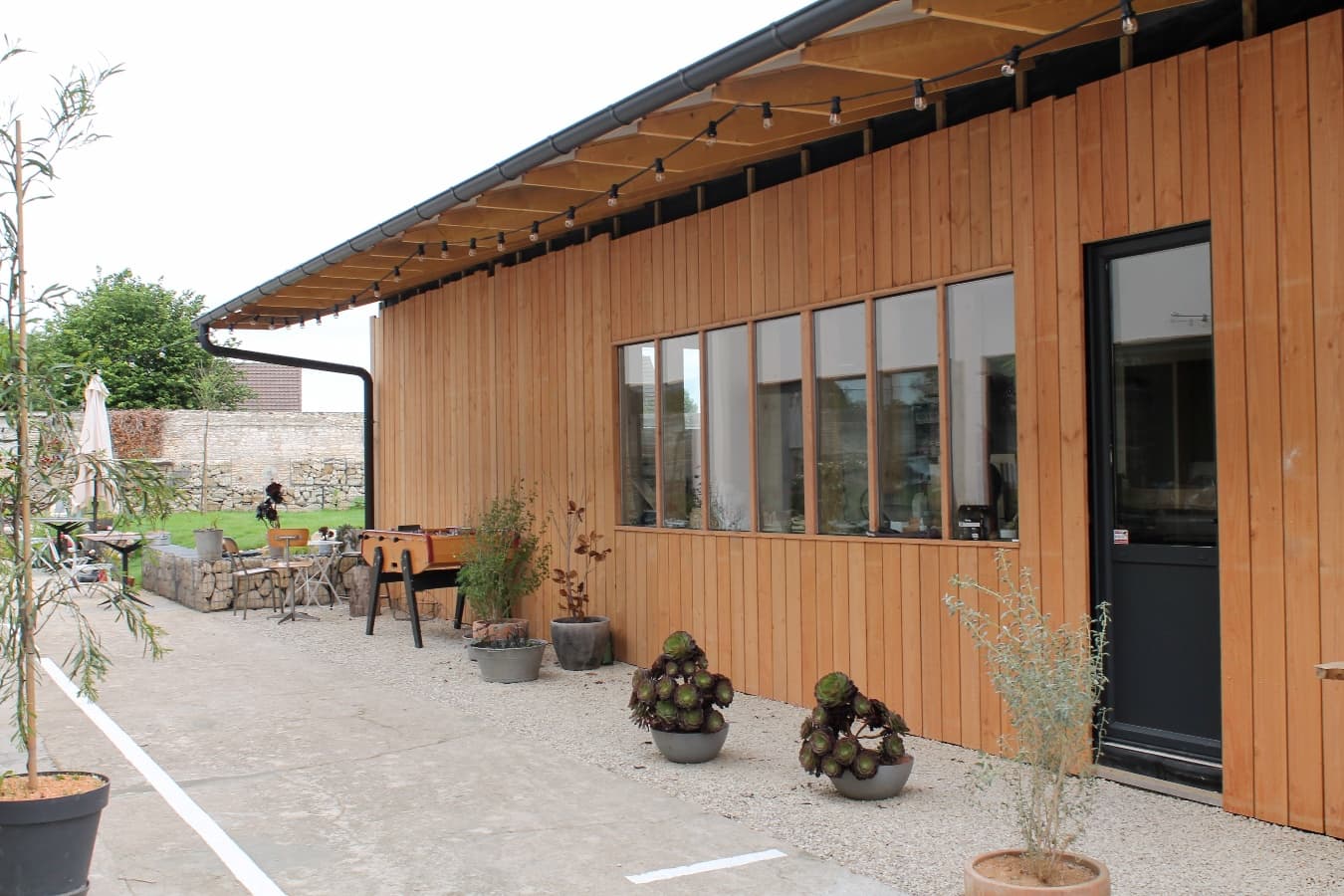 Jardin 7