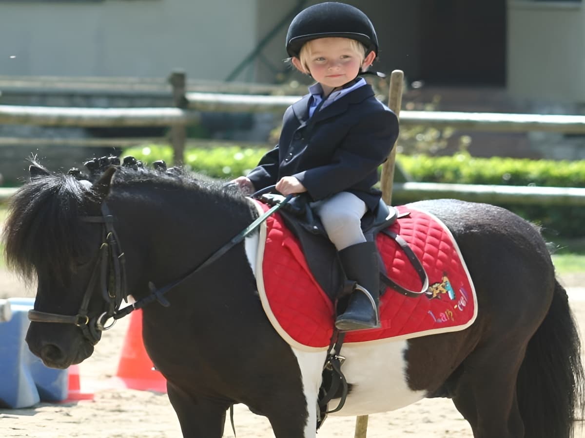 A poney