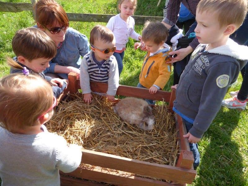 Anim-enfant-animaux-lapin-groupe_800x600