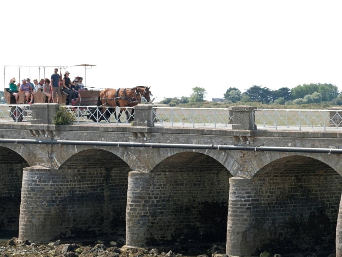 Attelage-port-bail-0