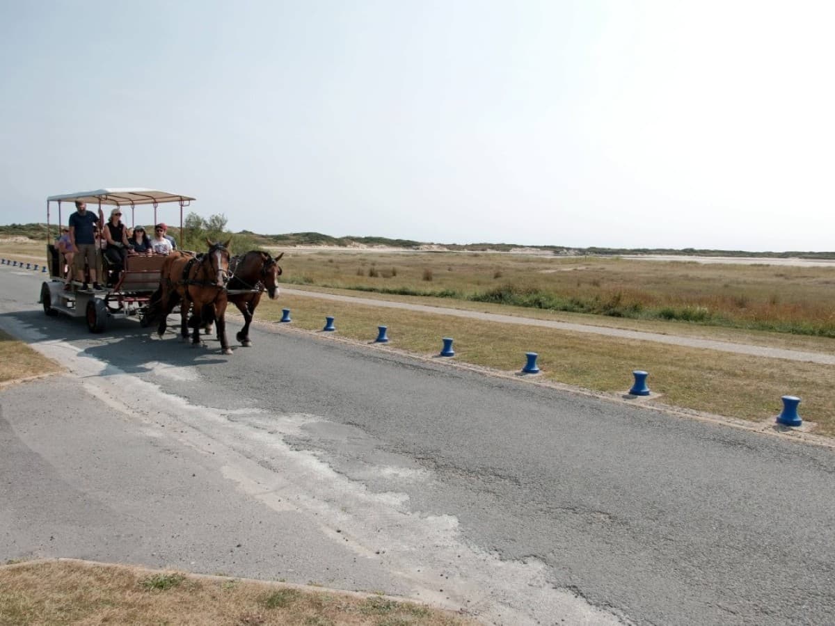 Attelage-port-bail-1
