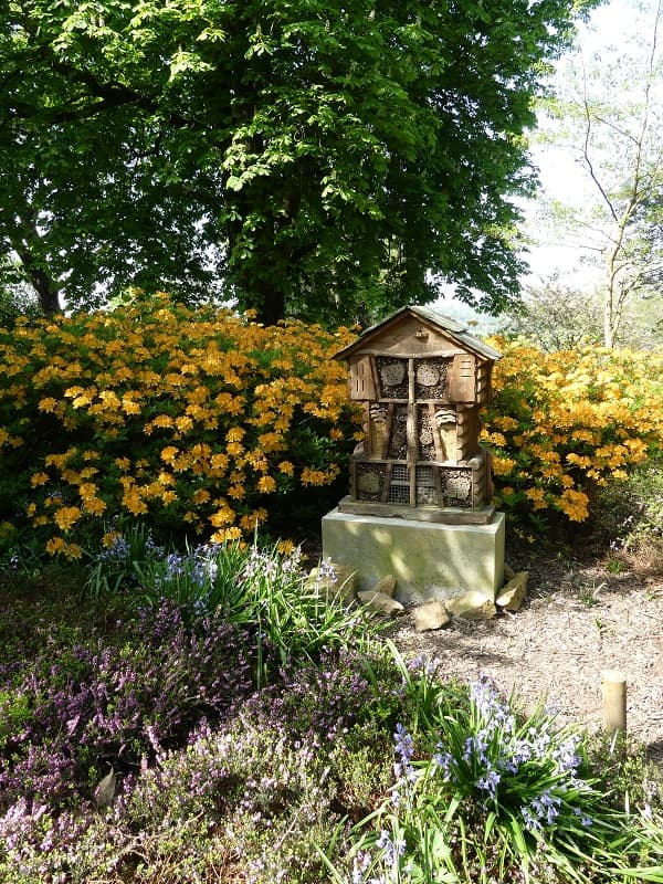 Avranches-jardin-des-plantes (2)