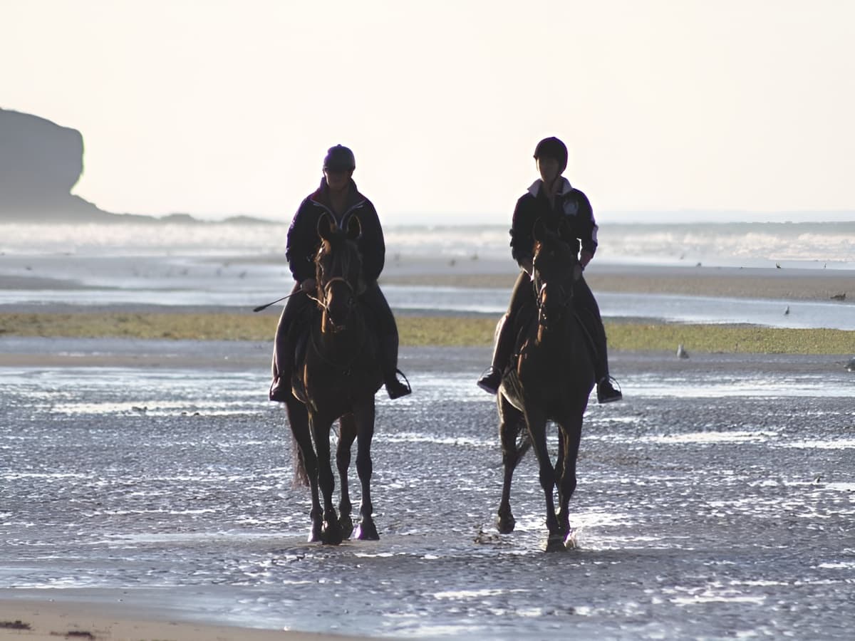 Balade cheval plage Calvados (6)