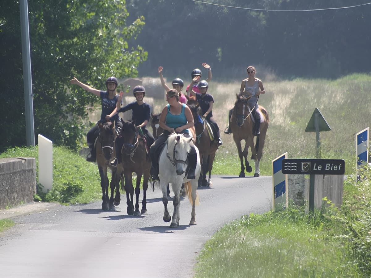 Balade à cheval Calvados (7)