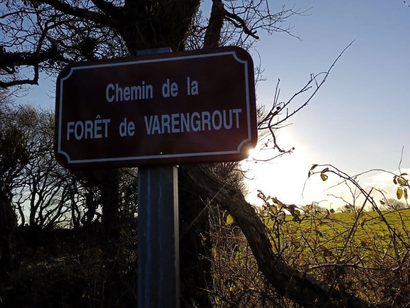Bois de Varengrou