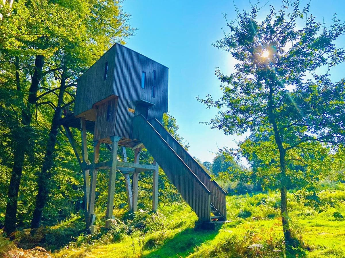 Cabane arbre (Copy)