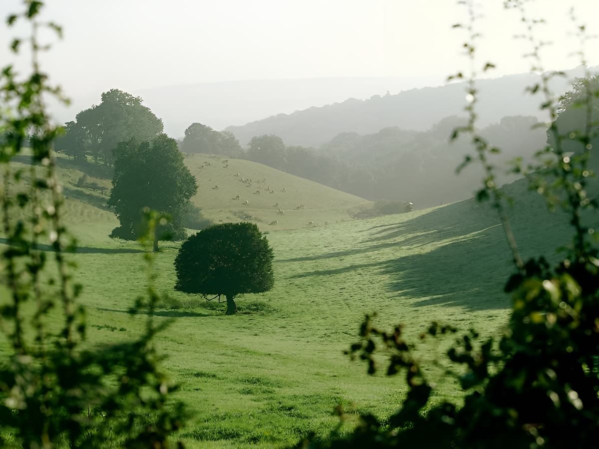 Paysage du Bocage Normand - Calvados