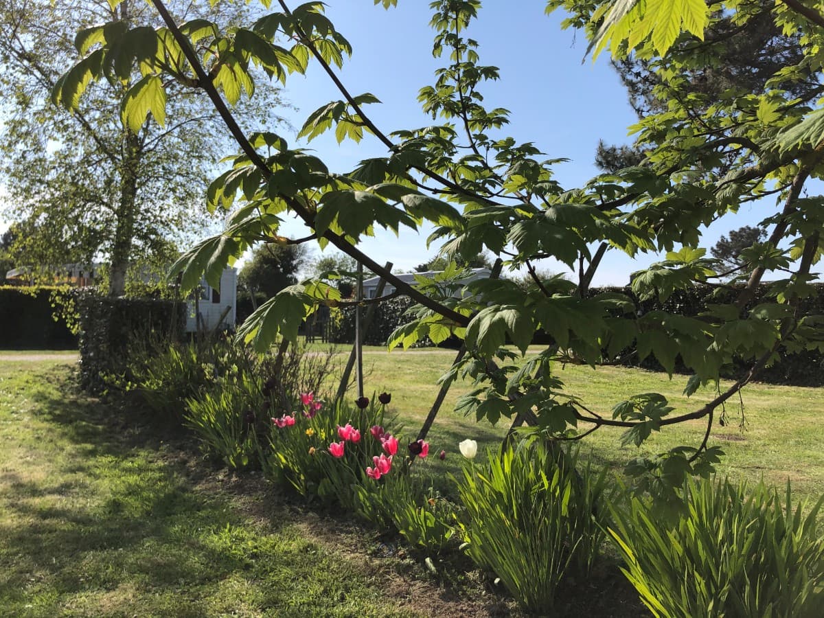 fermanville-camping-de-la-plage-6