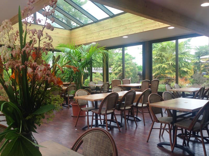 Champrépus_Restaurant Le Sumatra_verriere