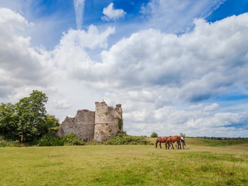 Château de Saint-Fromond 1