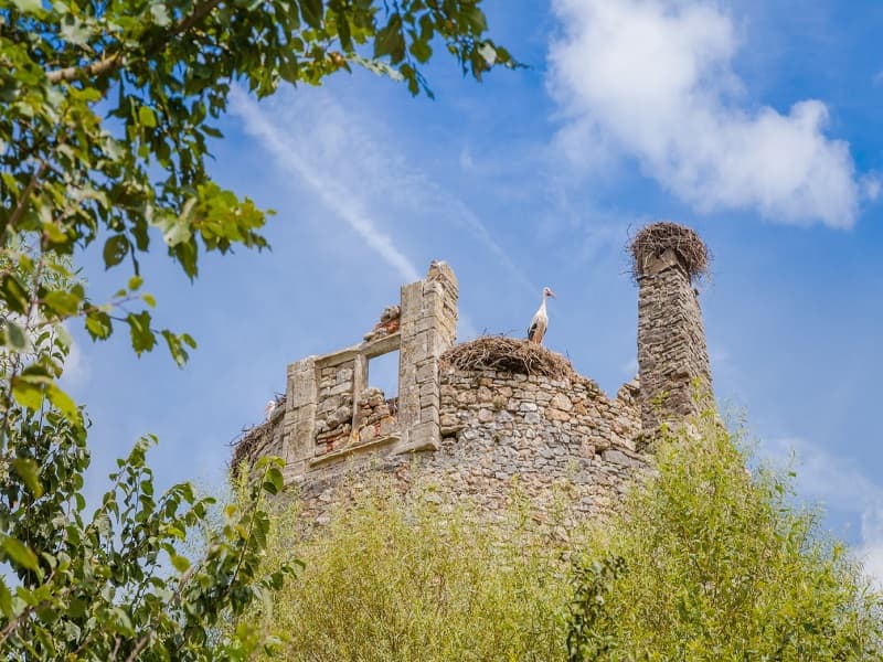Château de Saint-Fromond 2