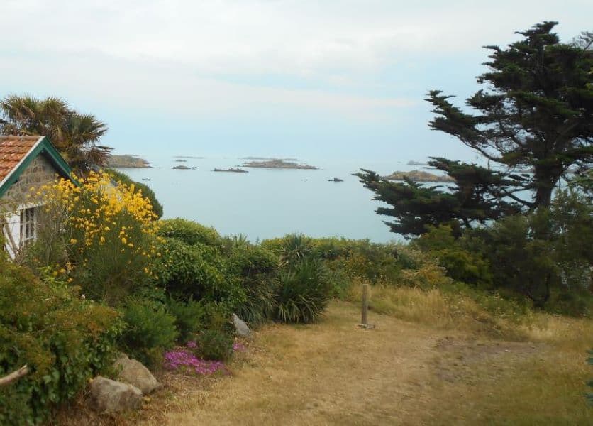 Chausey et ses fleurs