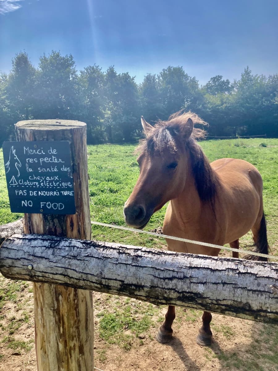 Cheval