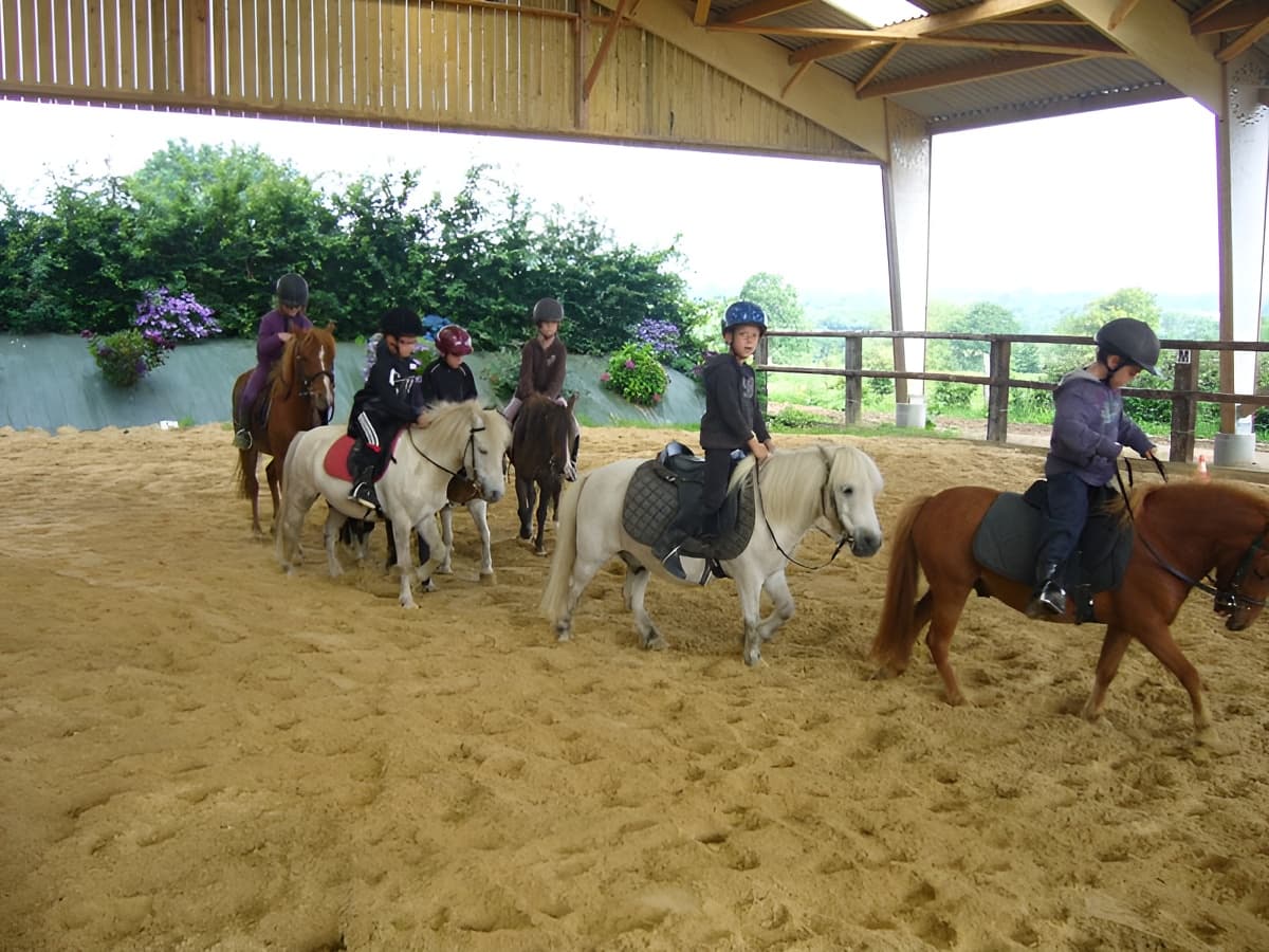 Cours en manège