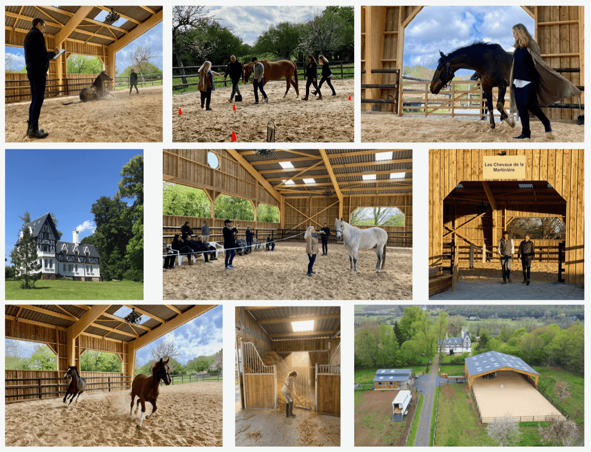 Les Chevaux de la Martinière - Equicoaching