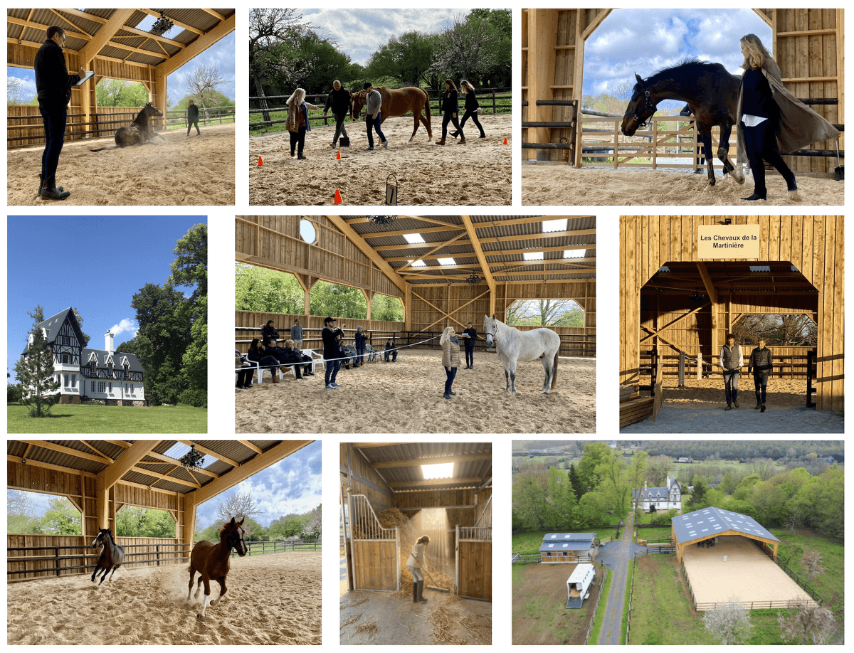 Les Chevaux de la Martinière - Equicoaching