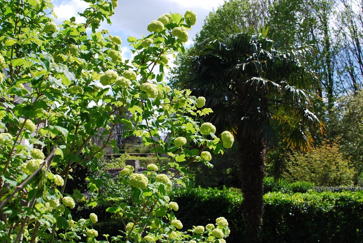 Le Pressoir - Flamanville - 9