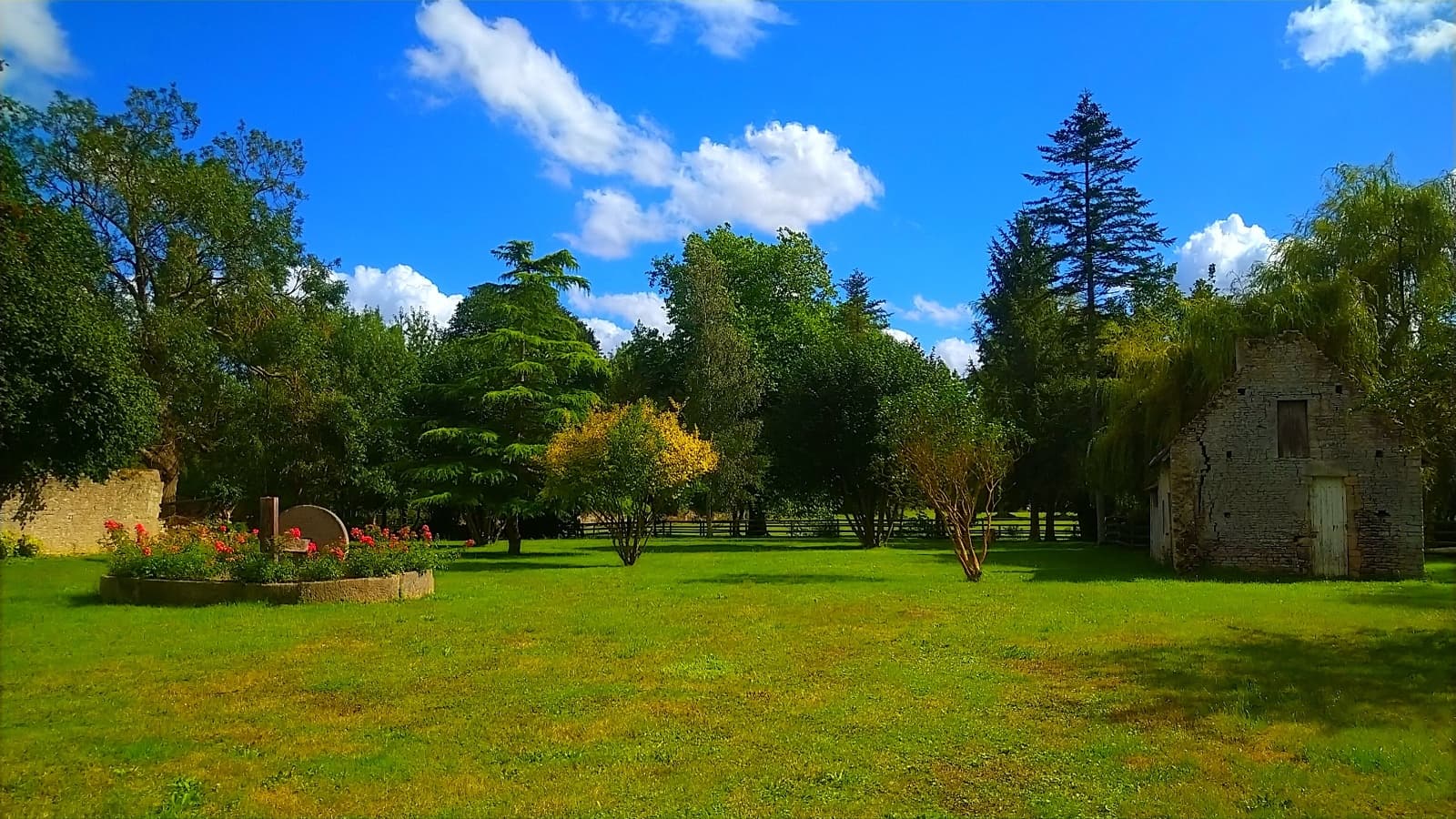Jardin Arboré