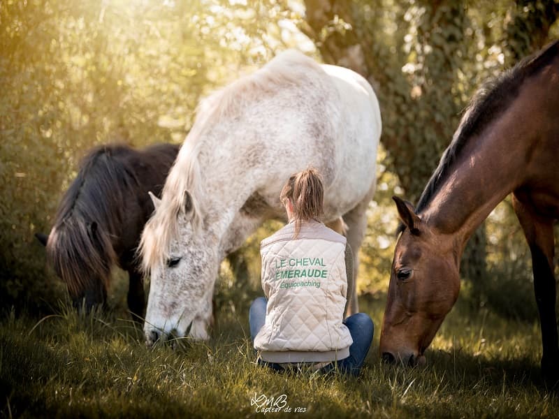Le cheval emeraude(2)