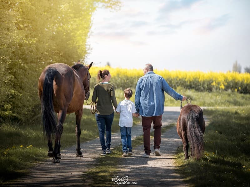 Le cheval emeraude