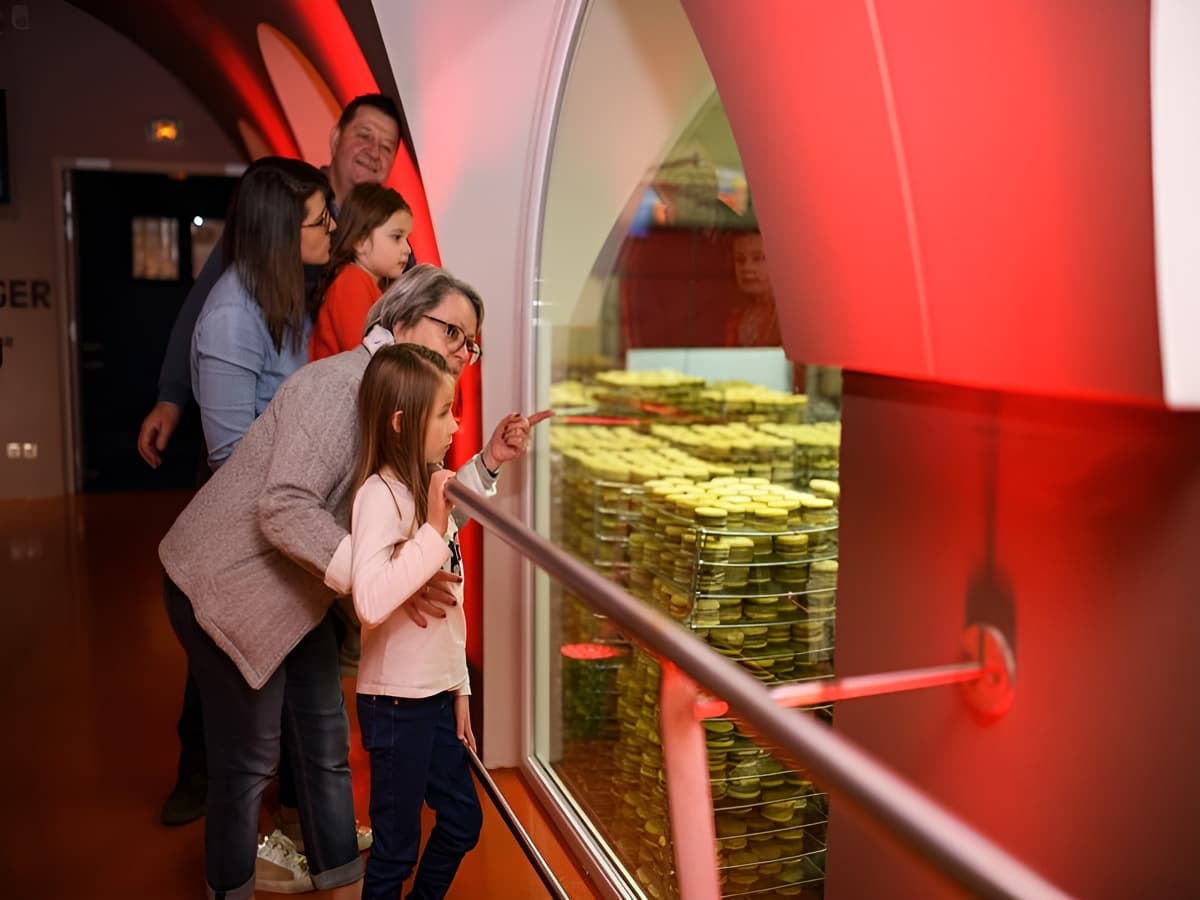 Visite des caves d'affinage Graindorge
