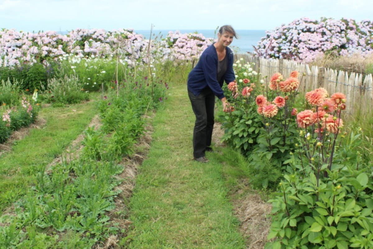 Des-fleurs-partout-0