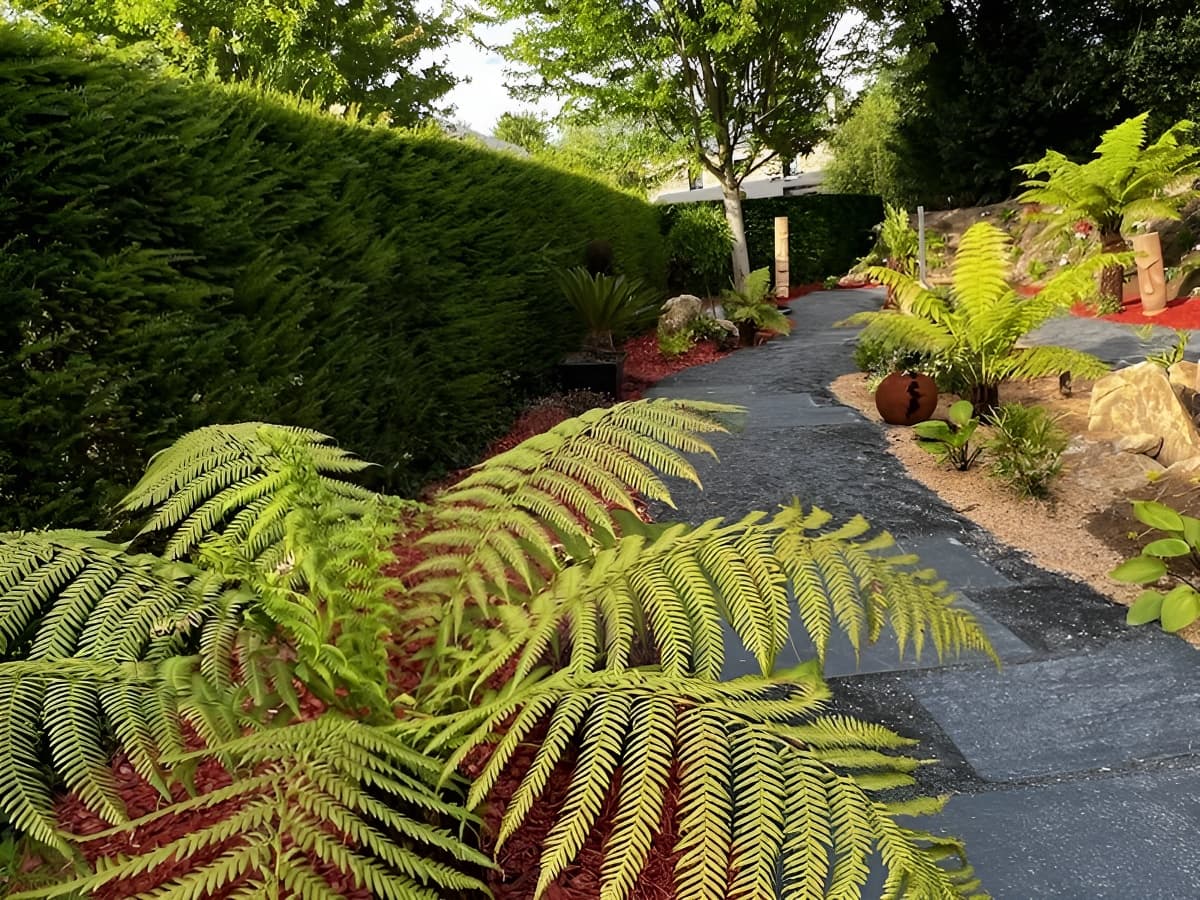 Le jardin Préhistorique du Domaine Albizia