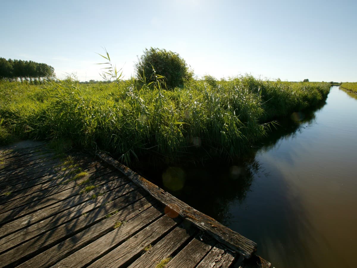 Les marais