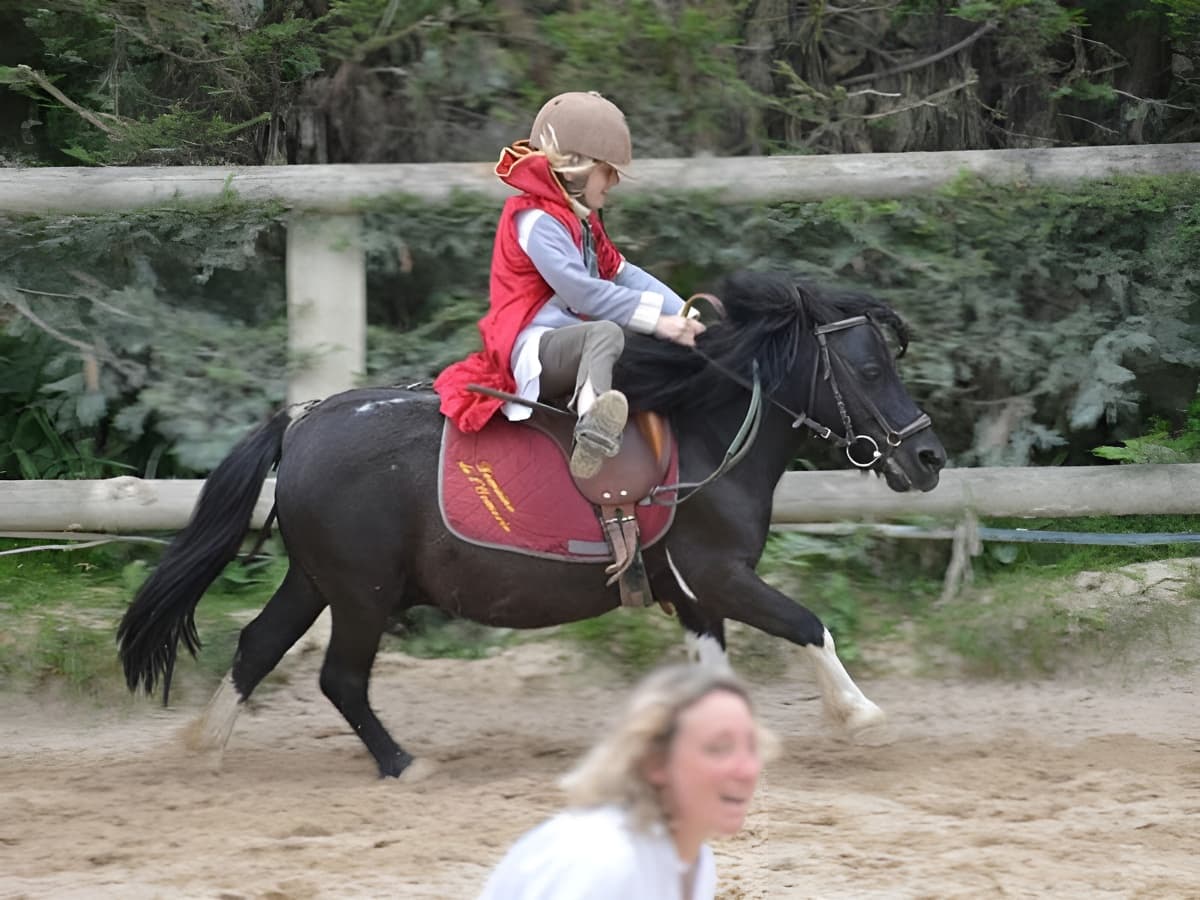 Animation poney ormerie Calvados