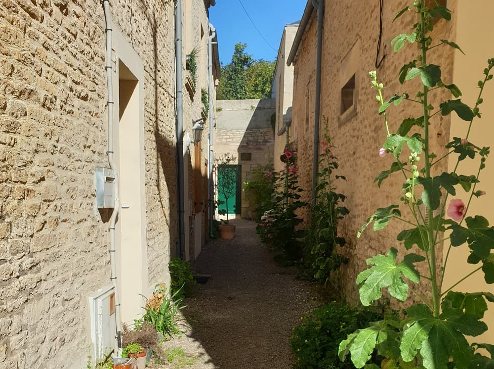 Venelle