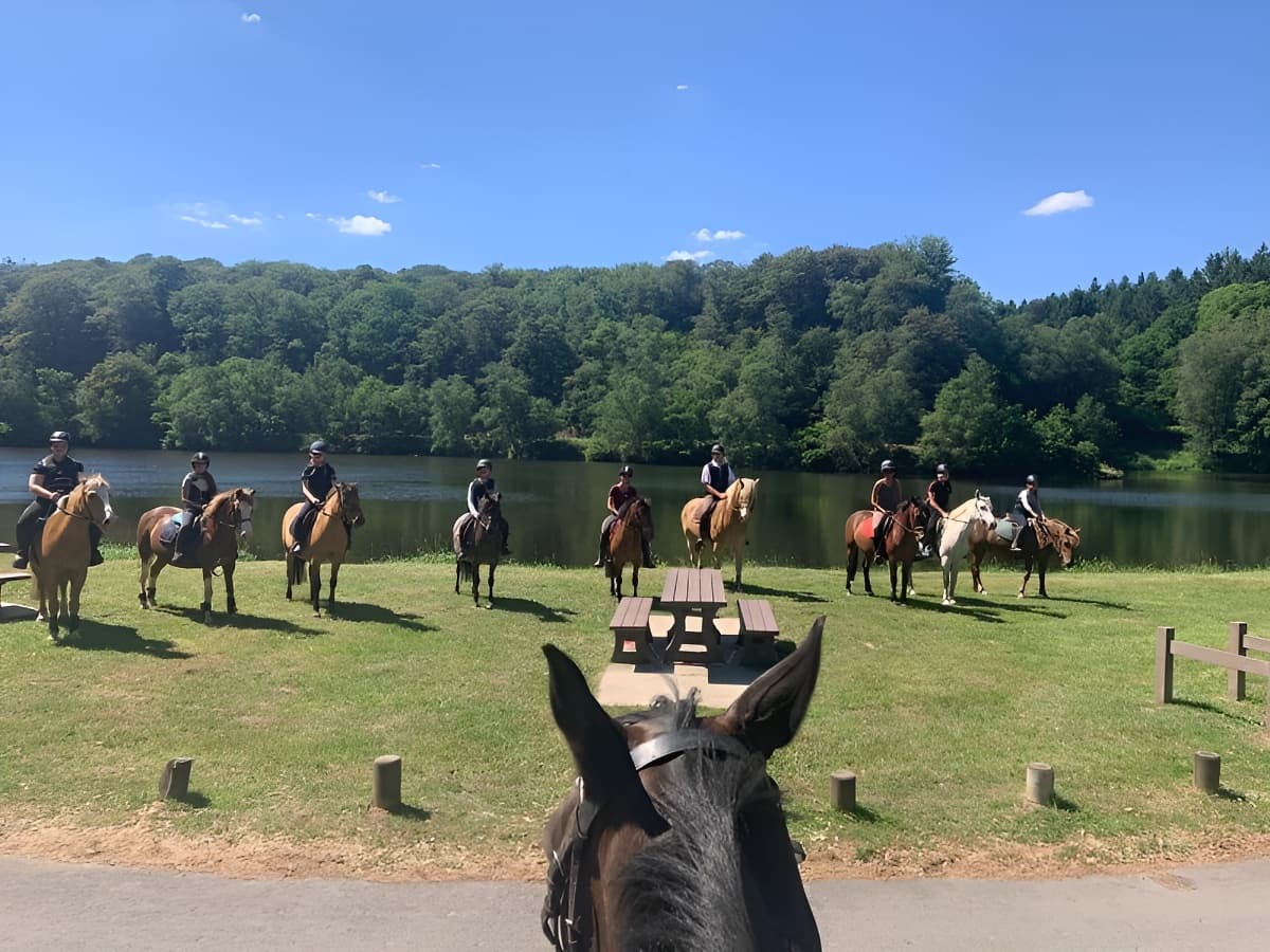 Equitation dathee normandie calvados