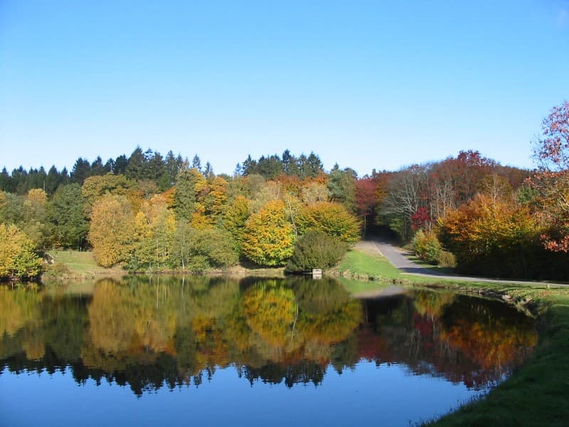 Etang-du-Vieux-Chateau