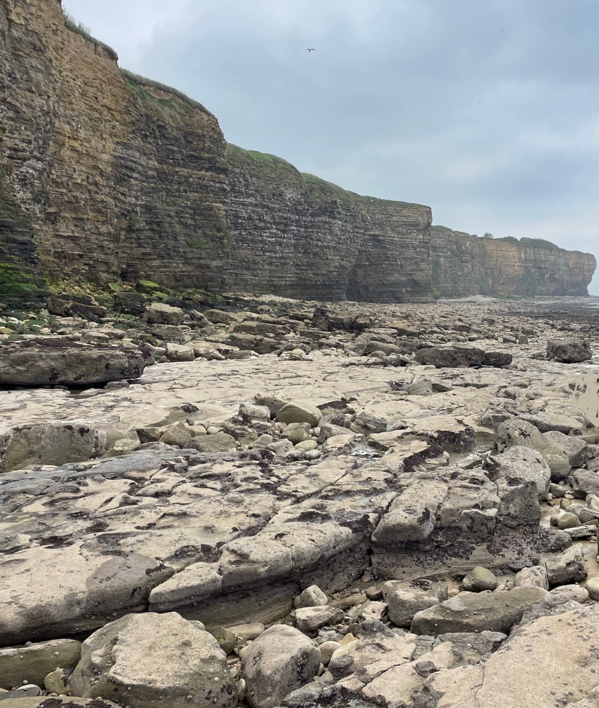 Falaises d'Englesqueville la percée