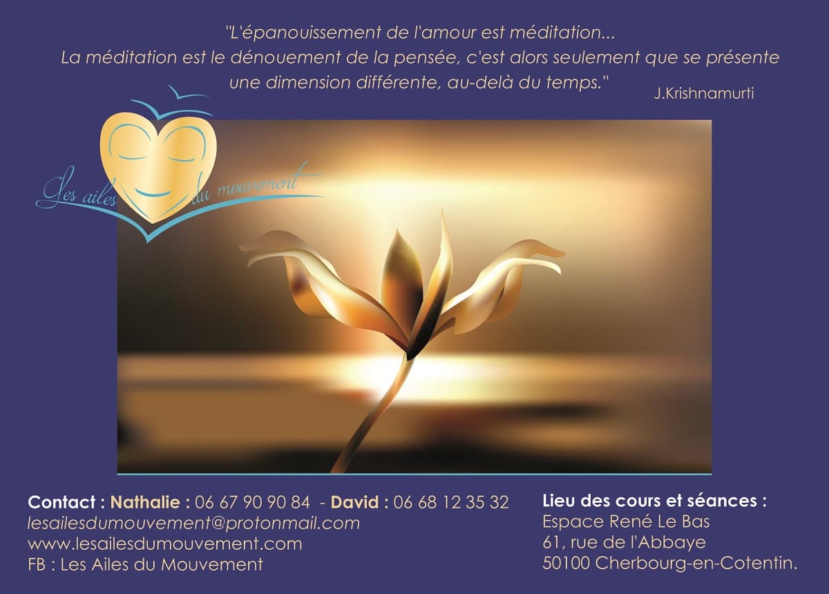 Cherbourg-en-Cotentin - Les Ailes du Mouvement - 2
