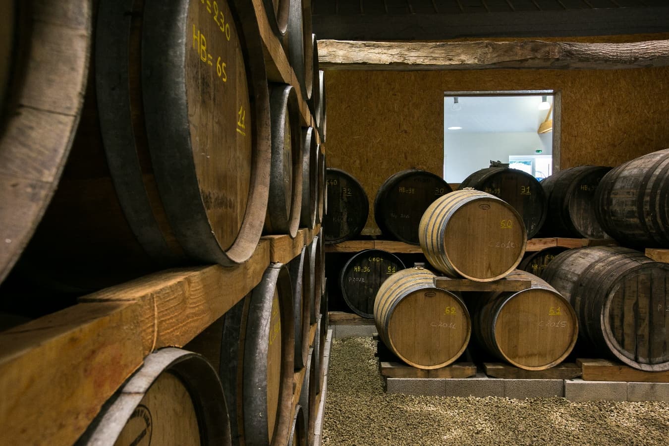 Fut-de-chene--14-