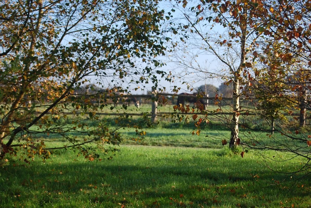 L'BiâO Petit Gîte