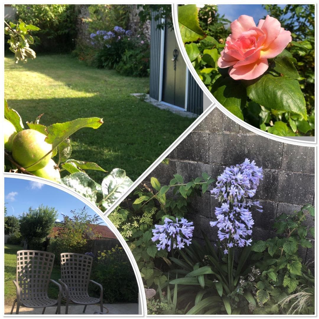 Au Jardin iodé