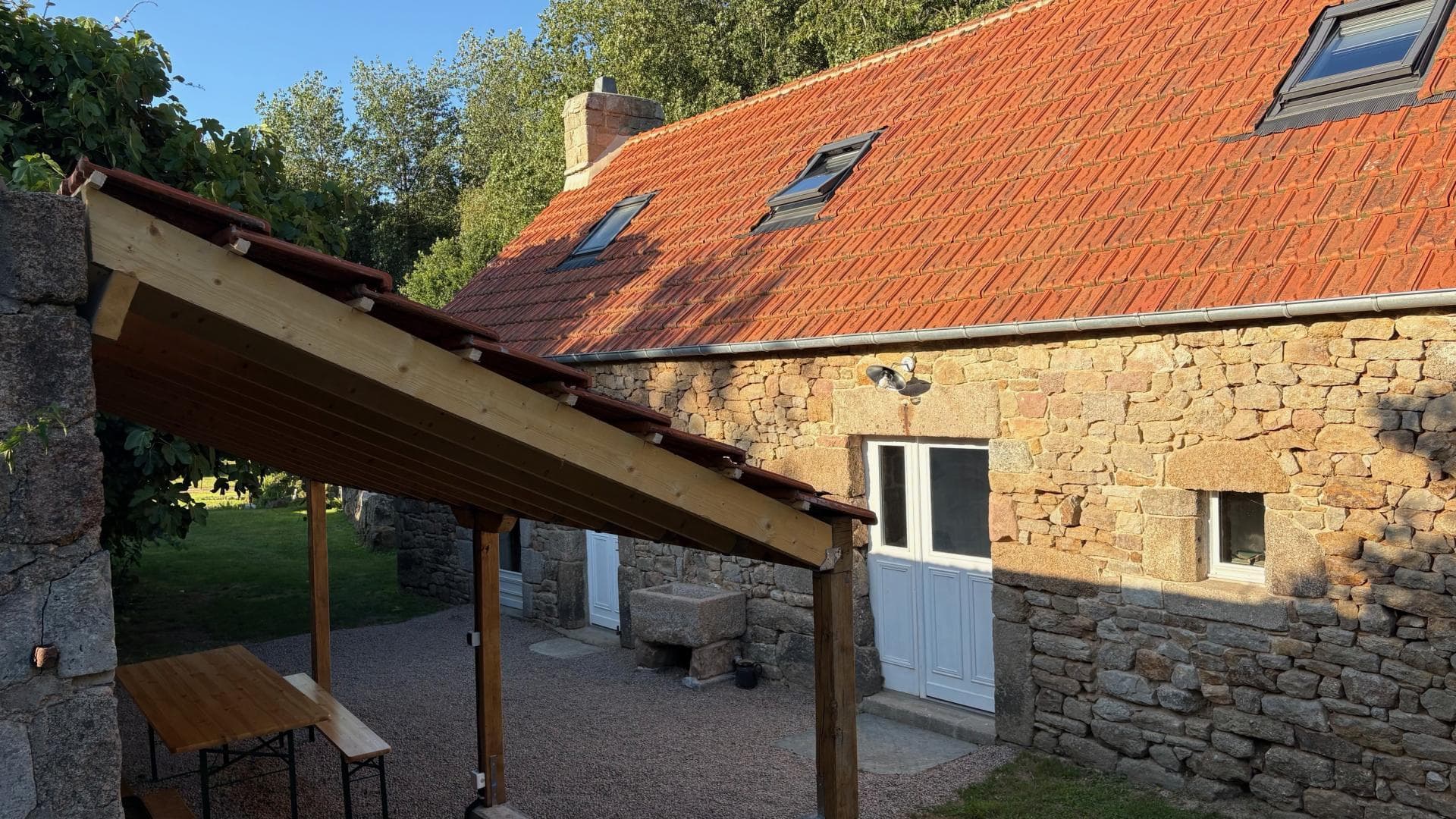 Le figuier