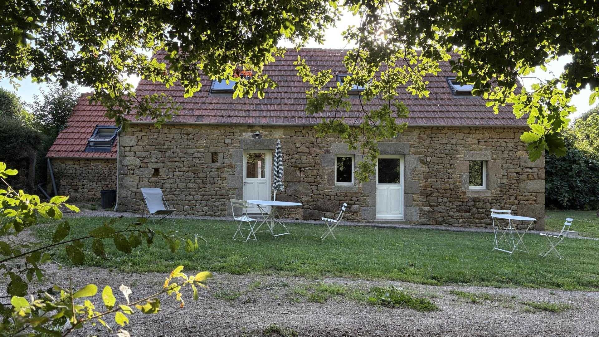 Le figuier