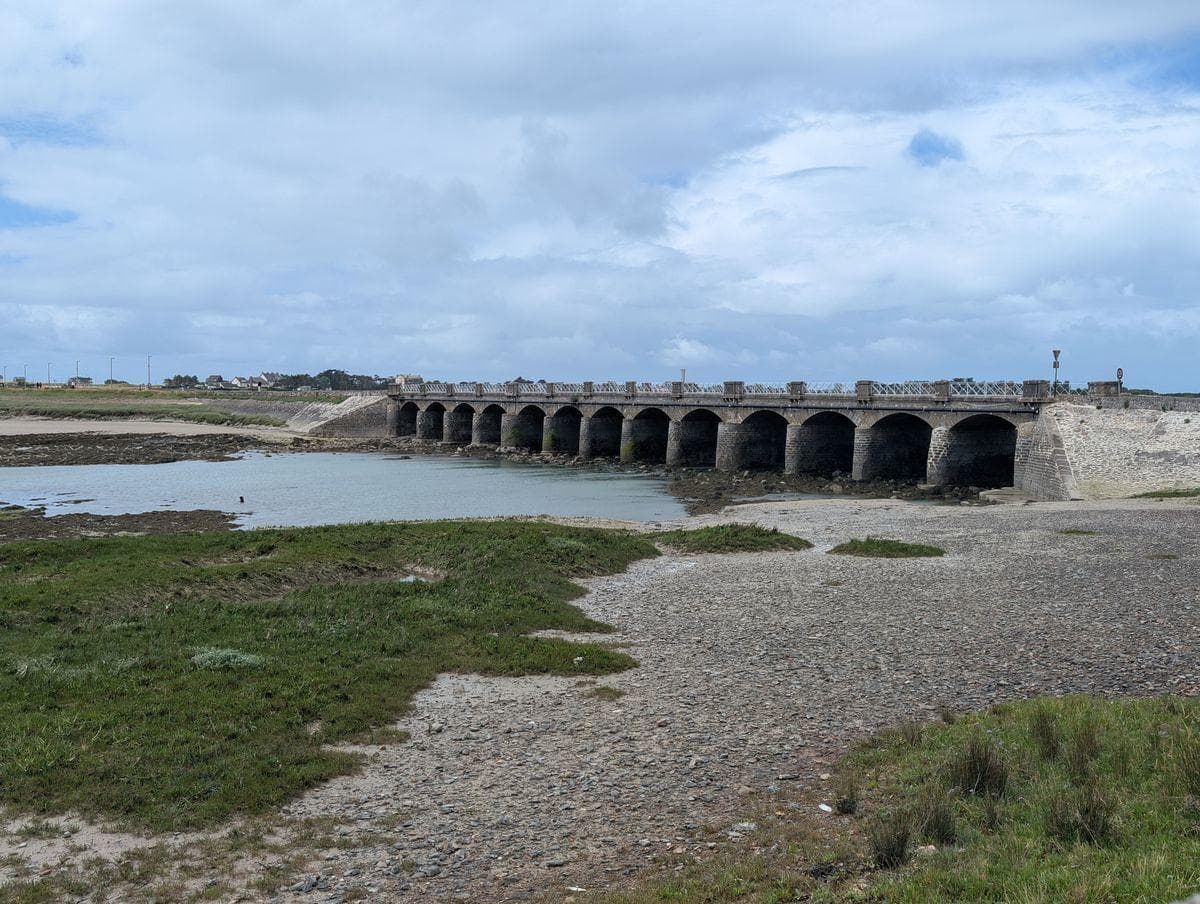 Les Tamarix