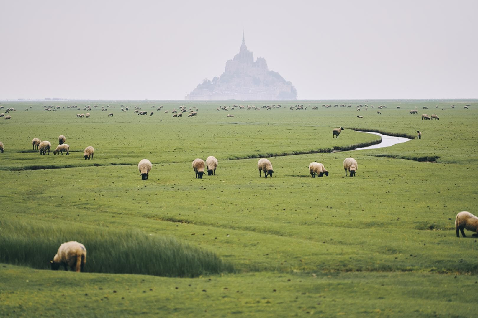 Les Goulets