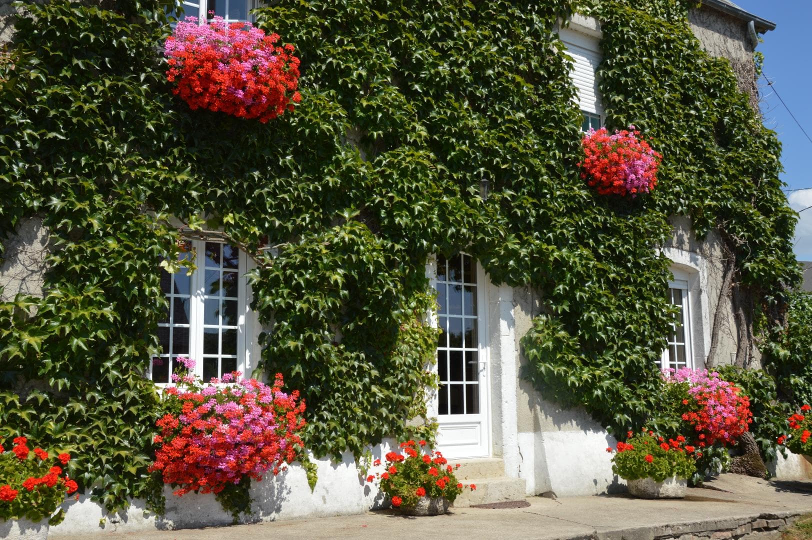 La Sagerie