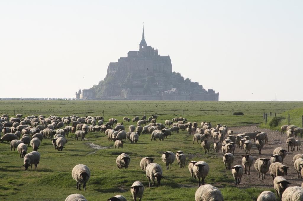 Gites de France®291