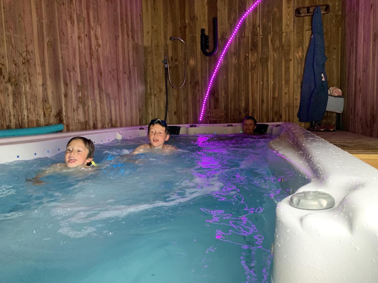 Les Eucalyptus