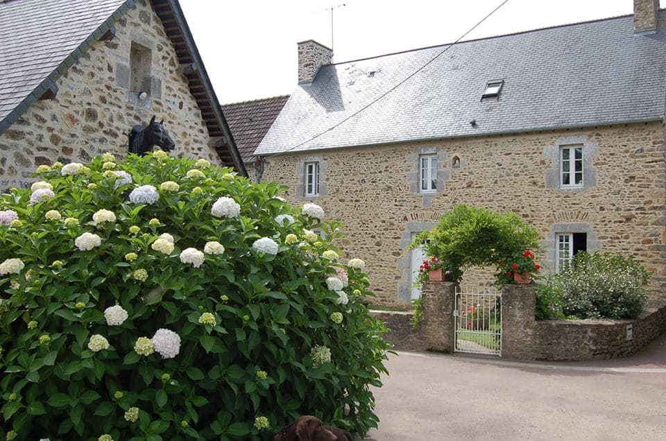 Les Glycines