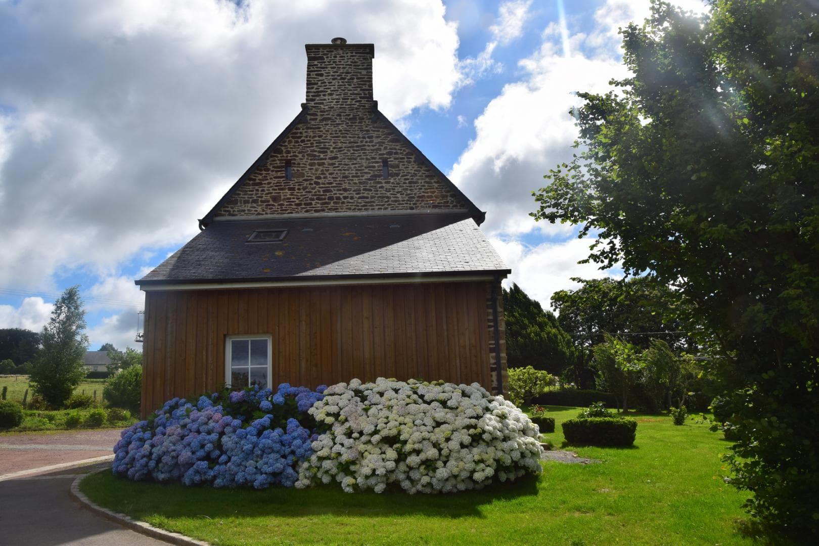 Les Hortensias