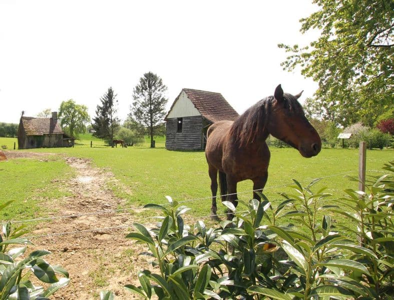 G44446-la-clouardiere-grandparigny-17