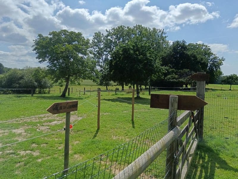 G44446-la-clouardiere-grandparigny-19